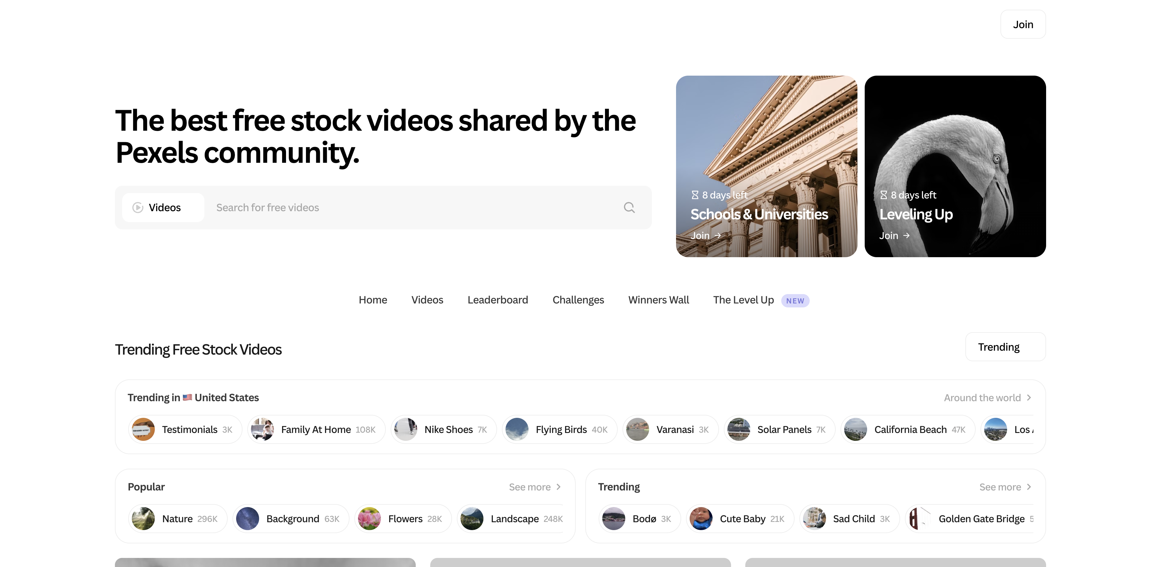 Pexels' free video library, which needs no account to download
