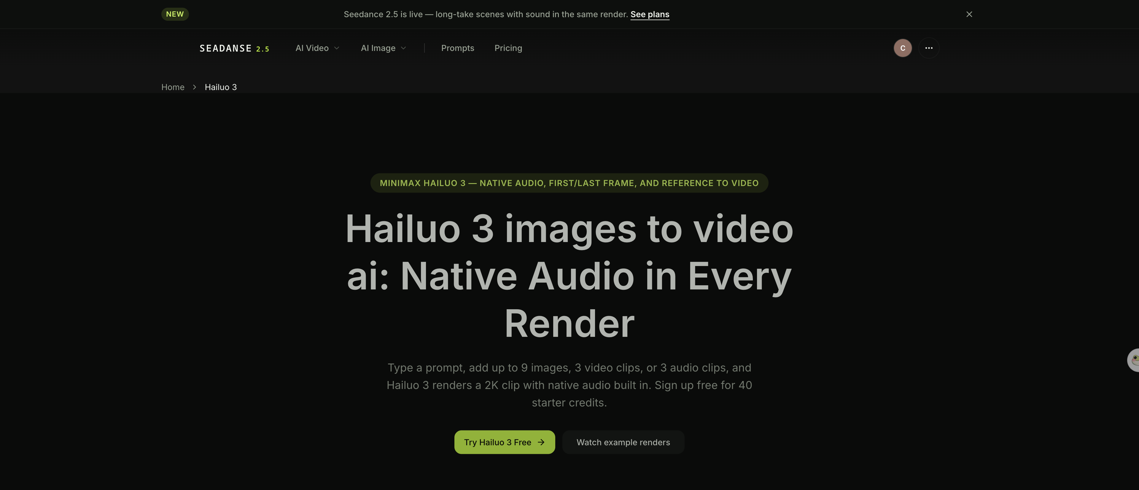 Screenshot of the Hailuo 3 images-to-video page on Seadanse, showing the image, video and audio reference upload slots.
