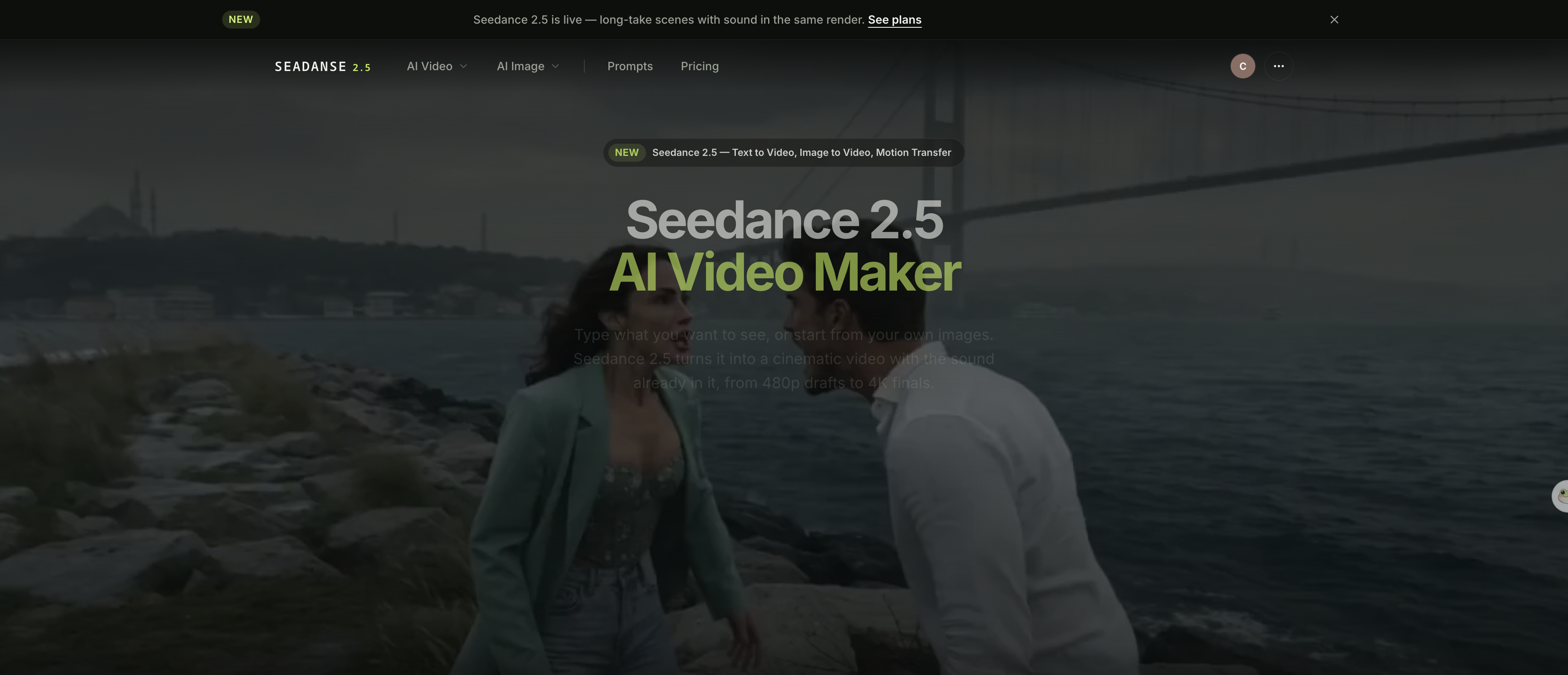 Screenshot of the Seedance 2.5 AI Video Maker generator on Seadanse, showing the prompt box with the duration and resolution controls beside it